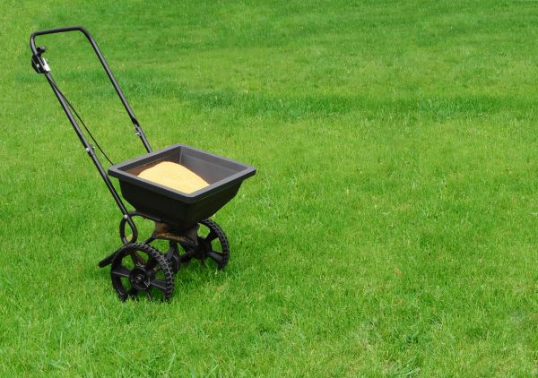 Fort Myers Lawn Treatment