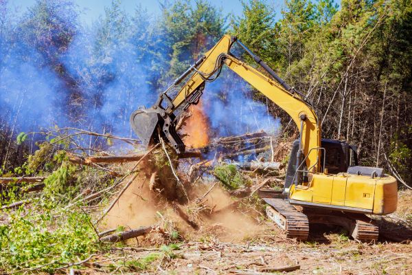 Fort Myers Land Clearing